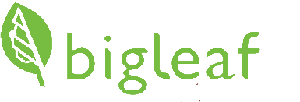 Bigleaf networks logo